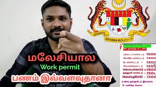 WORK PERMIT | MALAYSIA 🇲🇾 உண்மையா பொய்யா