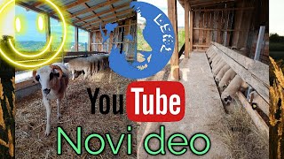 Nas ovcarnik za ovce i jaganjce (OUR SHEEP BARN)