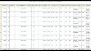 Transdata Tutorial: Report Generator
