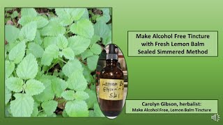 Make Alcohol Free Lemon Balm Tincture