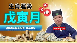 【戊寅月2月運勢】十二生肖如何應對木土交戰的開年挑戰？奇門遁甲詳細解讀生肖月運！