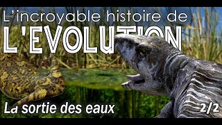 Aux origines des amphibiens : La sortie des eaux - 2/2 - Évolution/paléontologie - Simplex Paléo