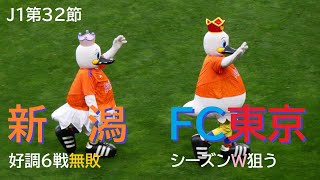 20231111 新潟 vs FC東京 ＠デンカS〈LONG DIGEST〉