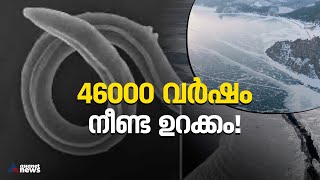 46000 ഓളം വർഷം നീണ്ട ഉറക്കത്തിൽ നിന്നുണർന്ന് ഒരു വിര! | Worm | Syberia | Permafrost