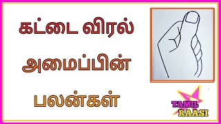 கட்டை விரல் அமைப்பின் பலன்கள்/Tamil Raasi