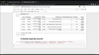 Finding Duplicate Records with Python