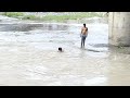 jump from mahananda bridge at siliguri