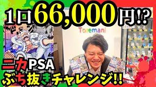 【ワンピースカード】一口66000円で　ニカPSAぶち抜きチャレンジ！！