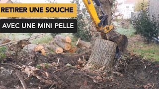 Comment enlever une souche d'arbre avec une mini pelle