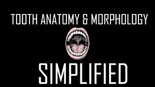 1- Tooth Anatomy and Morphology