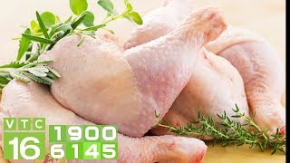 Thịt gà nhập khẩu: Vì sao giá rẻ? | VTC16