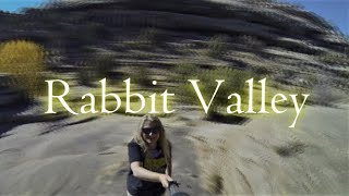 Rabbit Valley Colorado: The Trail Through Time, Hiking