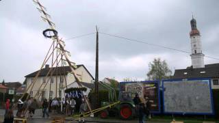 Maibaum Aufstangeln Niederscheyern 2016