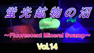 蛍光鉱物の沼 ～Fluorescent Minerals～ Vol.14【ミネラルマルシェ編】