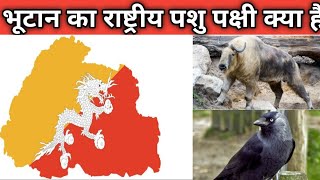 भूटान का राष्ट्रीय पशु, पक्षी, खेल,पुष्प ,क्या है bhutan ka  general knowlege
