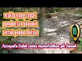 waktu yang tepat pemberian dolomit untuk pohon durian dan beberapa manfaatnya