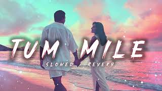 Tum Mile [Slowed+Reverb] - Javed Ali | Reverb World
