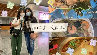 🇪🇸西班牙Vlog/我來去西班牙當交換學生了/阿聯酋航空公司