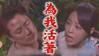 【一家團圓】EP85預告 少風昏迷前打給家玲懺悔 霏霏破壞婚紗被曉萱抓到 │Family Reunion