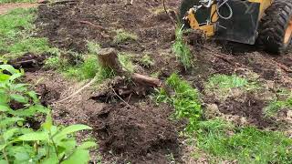 Eagle beak at work with easy stump extraction