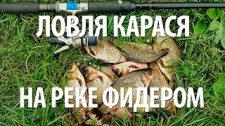 ловля карася на цивиле ловля карася на цивиле