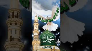 Beautiful islamic,video,AllAh /🕌🥀JAghA JEELAgANEKI✨ #GhulamMustafaQadri#naat #kalam/January 26, 2024