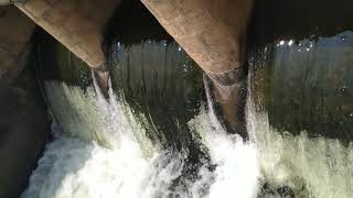 Jedarpalayam small dam/falls after Corona