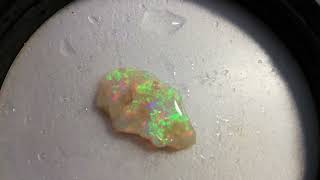 Australian Solid opal 5.75CT rough