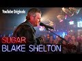 Blake Shelton surprises a fan inspired by his music while in foster care.