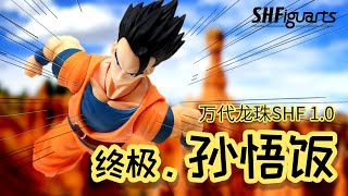 【开箱捣柜】41 换个头就是儿子！万代SHF龙珠 终极孙悟饭 BANDAI SHFiguarts Dragon Ball Ultimate Son Gohan