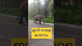 ഇന്നത്തെ Duty കഴിഞ്ഞു ഇനി നാളെ കാണാം BYE👋🏻#shorts #shortsfeed #shortsvideo #youtube