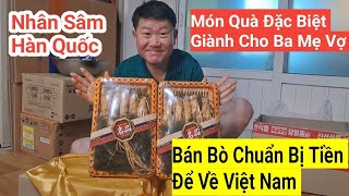 943# Bán Bò Chuẩn Bị Tiền Để Về Việt Nam Chồng Hàn Mua Được Nhân Sâm Để Cho Ba Mẹ Vợ Làm Quà