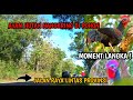 Moment langka ❗️ayam hutan nangkring di pohon pinggir jalan raya