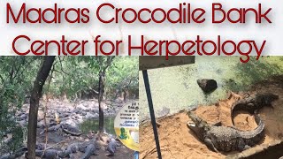 Madras Crocodile Bank Center for Herpetology || Sia & Sai en more