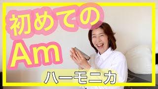 【初めてのAm】 トレモロ複音ハーモニカ♪Am初心者♪短音階