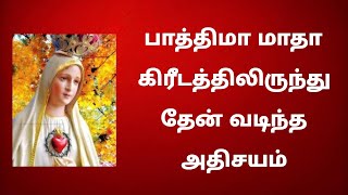 பாத்திமா மாதா கிரீடத்திலிருந்து தேன் வடிந்த அதிசயம்  - பக்தர்கள் பரவசம்