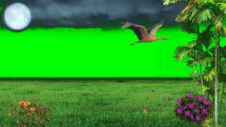 Green Screen Nature Background Video Effects #GreenScreen #GreenScreenEffects #GreenScreenEffects143