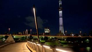 東京スカイツリー　東京タワー　ライトアップ　桜橋　 Tokyo Skytree Light up