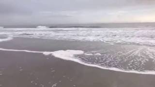ESCAPE WINTER | Myrtle Beach, South Carolina