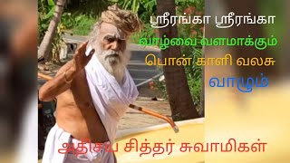 வாழ்வை வளமாக்கும் பொன் காளி   வலசு வாழும் சித்தர் சுவாமிகள்