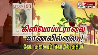 கிளியோப்பட்ராவை காணவில்லை..! தேடி அலையும் தொழில் அதிபர்