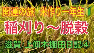 【稲刈りから脱穀へ】米作り一年生🔰滋賀/上仰木棚田日記④#稲刈り #脱穀 #棚田 #米作り