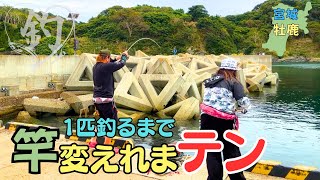 初秋の牡鹿半島★手持ちタックルで根こそぎ釣るぞ♪