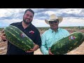 The Texas Bucket List - Luke Brown's Watermelon Farm in Balmorhea