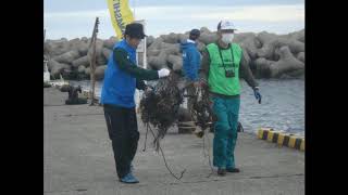 海をつくる会　2020年11月7日　三崎　通り矢水中清掃