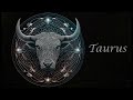 taurus