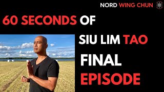 60 Seconds Of Siu Lim Tao - Final Episode