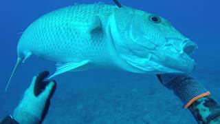 Spearfishing French Polynesia Oct 2017 with Oliver Em