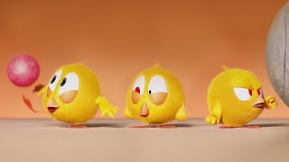 O Jogo das Tigelas | Onde está Chicky? | Pintinha amarelinho | Coleção desenhos animados Infantil HD