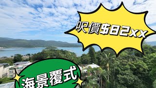 大網仔特平海景覆式